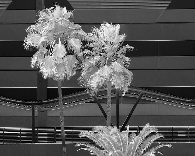 Channelside Architecture