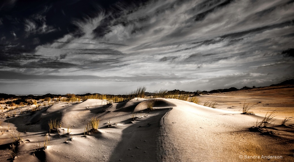 Light On The Dunes