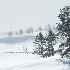 2IPO-YNP 5006855 - ID: 15337038 © Joseph D. Hancock