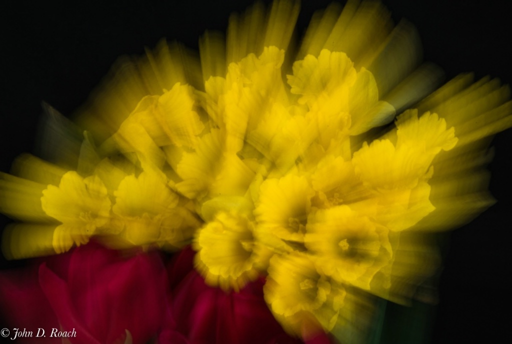 Burst of Spring - ID: 15338283 © John D. Roach