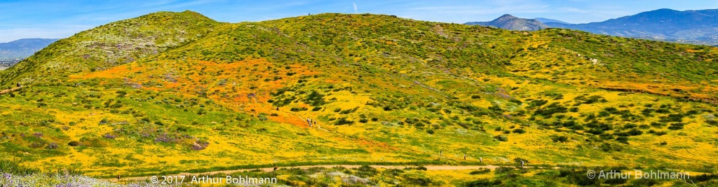 Superbloom