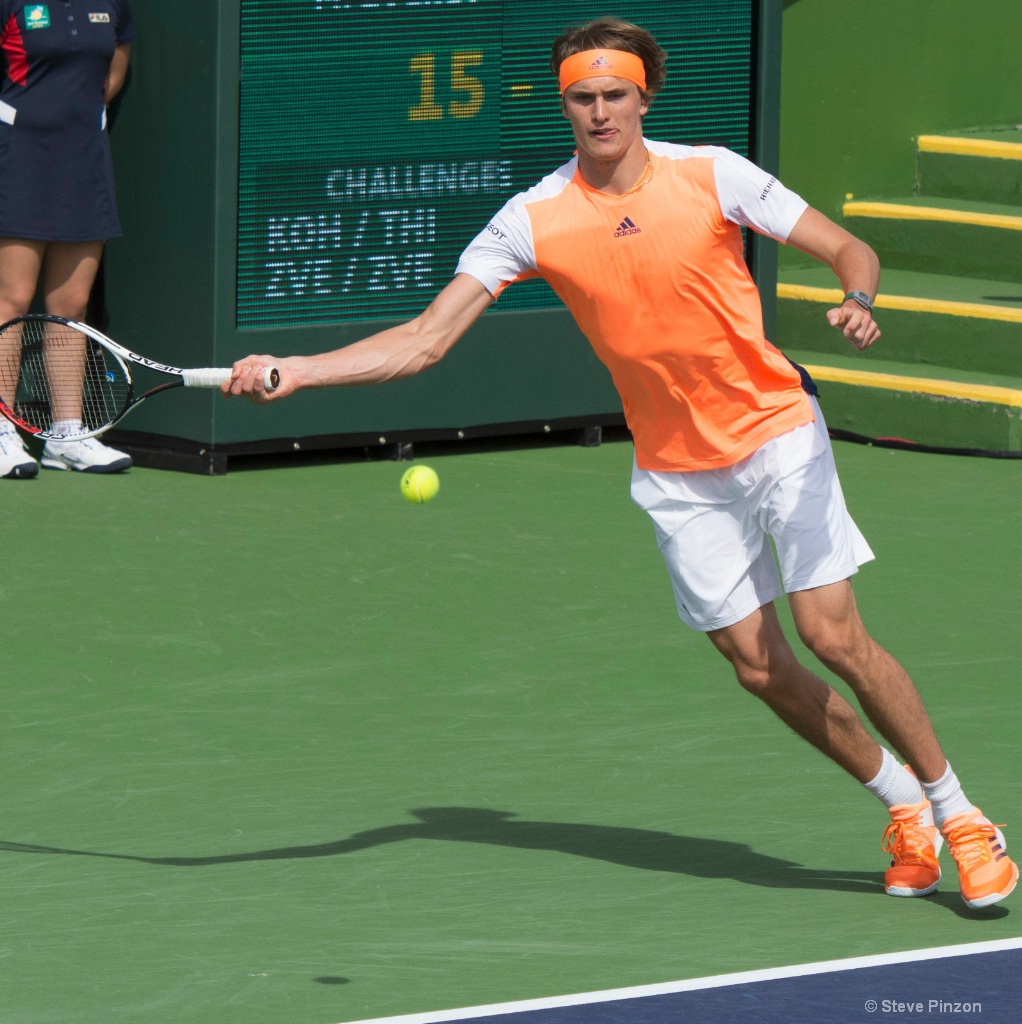 Sasha Zverev, #19 in the world at 19 yrs old - ID: 15338855 © Steve Pinzon