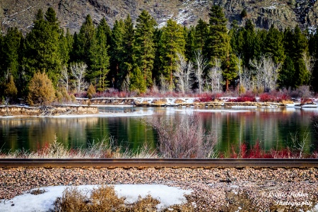 River Reflections