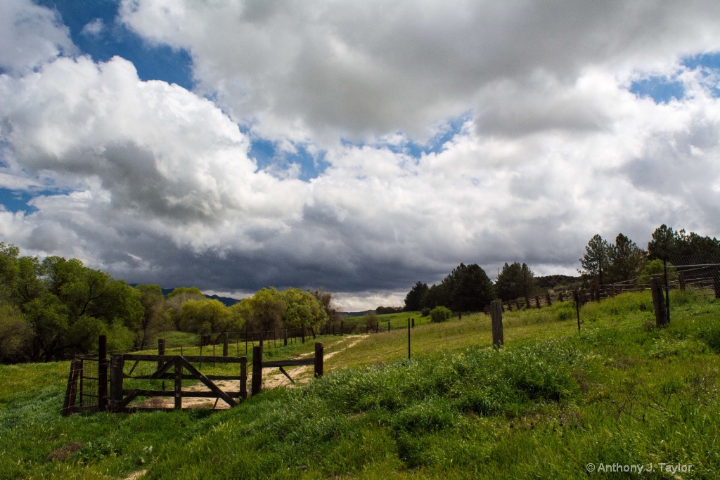 Meadow Gate