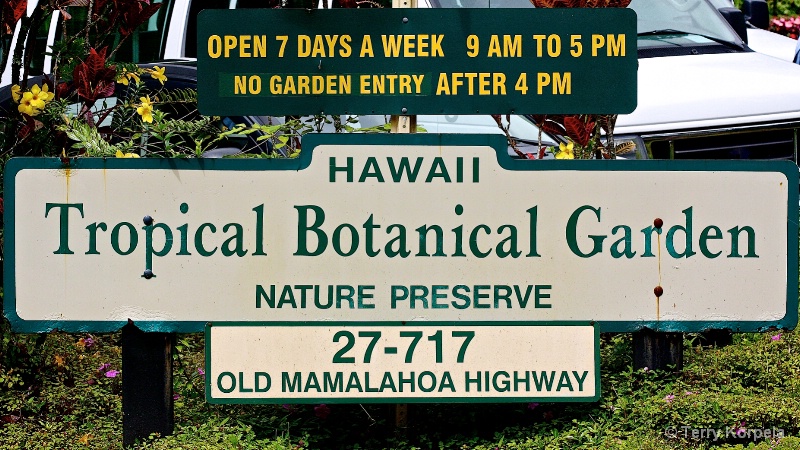 Hawaii Tropical Botanical Garden - ID: 15339817 © Terry Korpela