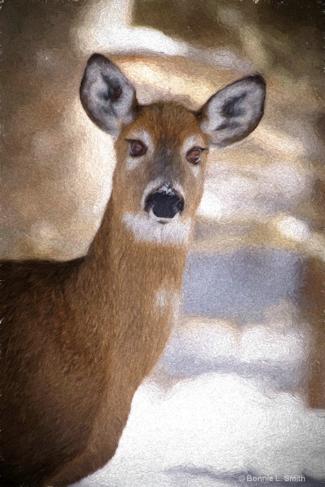 Deer in Winter Painting 1 of 1 - ID: 15340532 © Bonnie L. Smith