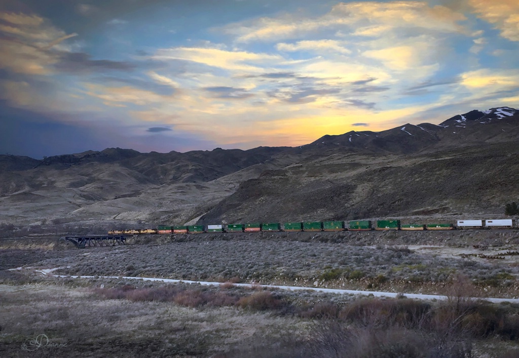 Late Afternoon Train Through Verdi