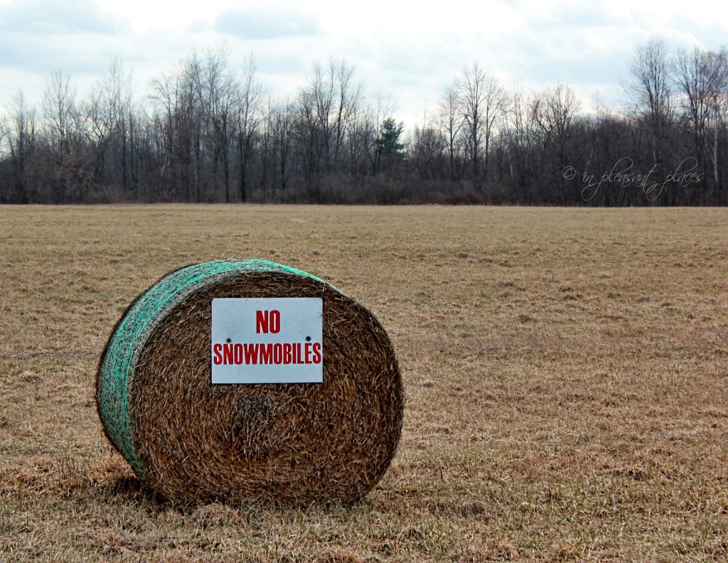 No Snowmobiles