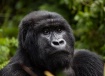 Rwanda