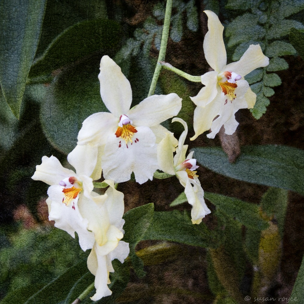 img9