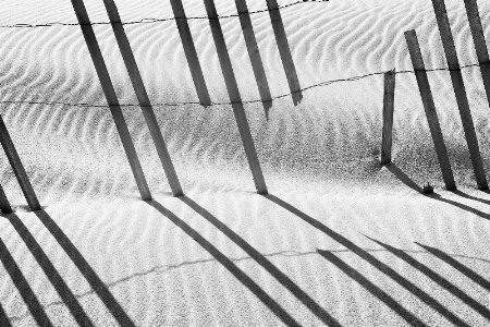 Fractured Dune Fence