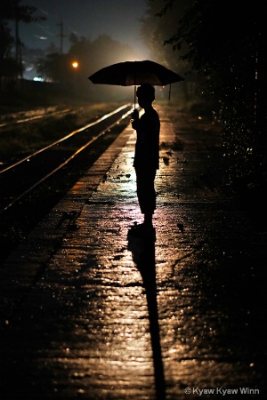 Lonely in the Rain