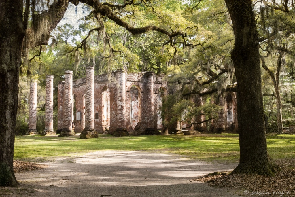 Old Sheldon Church in Spring