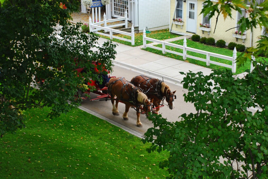 Mackinac Island Carriage