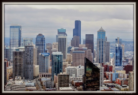 Downtown Seattle from the Tower 