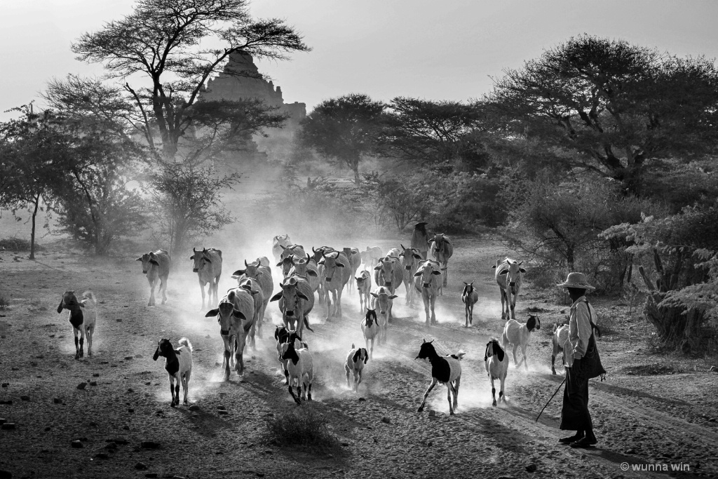 beautiful scenery in bagan area