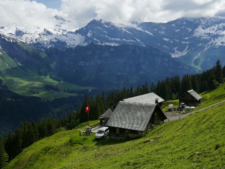 Swiss farm