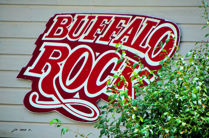 ???Do Buffalo's Really Rock???