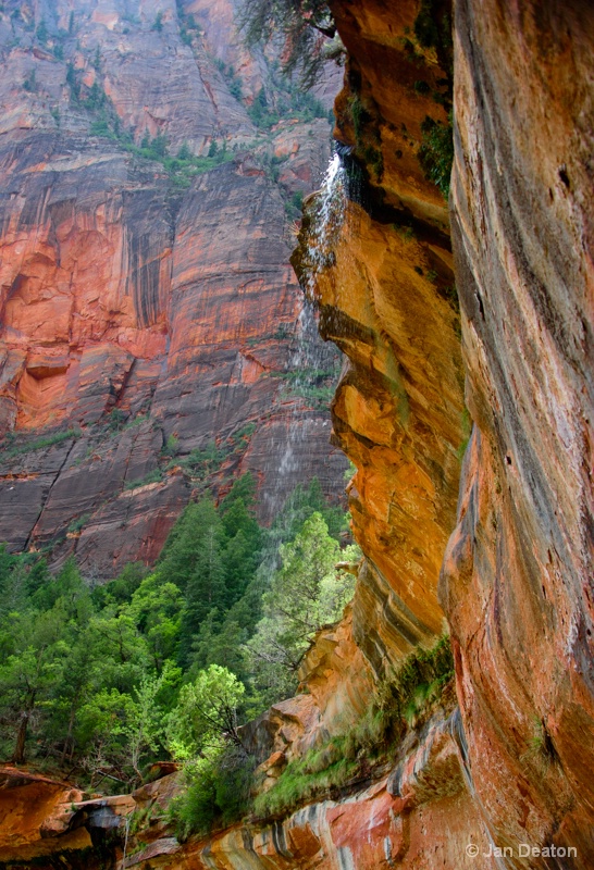 Mini Falls in Zion