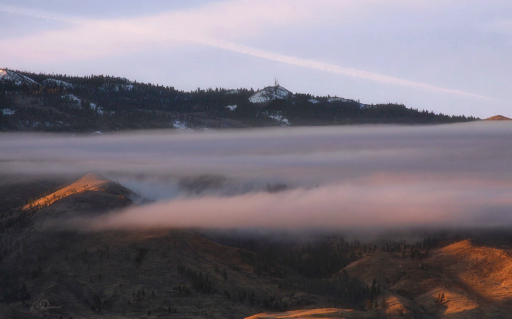 Low Morning Clouds