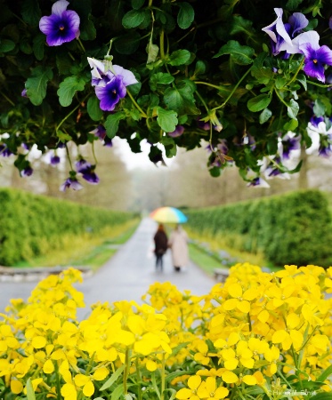 Spring Rains