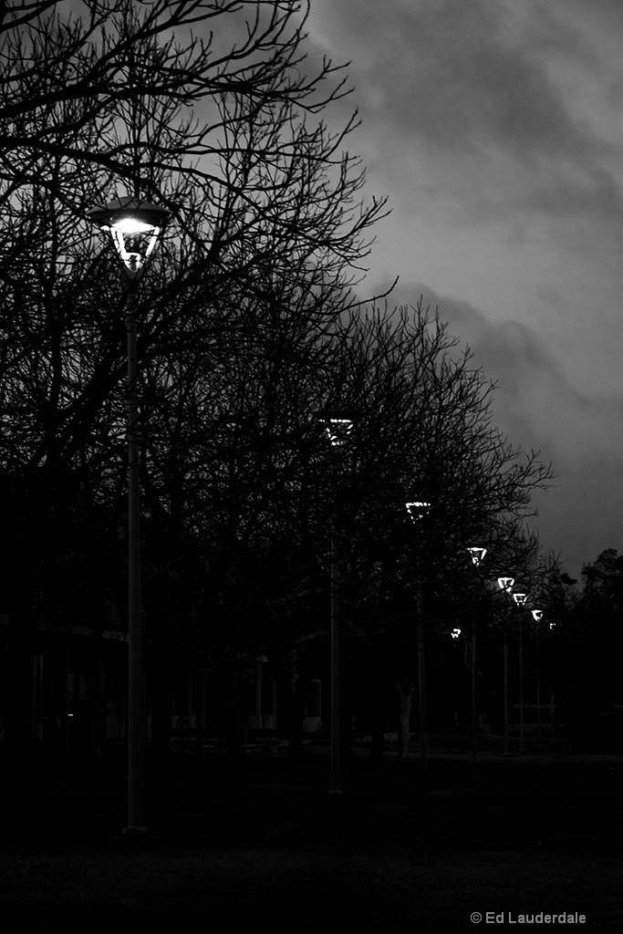 Lamplight II