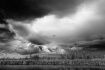 Before The Storm
