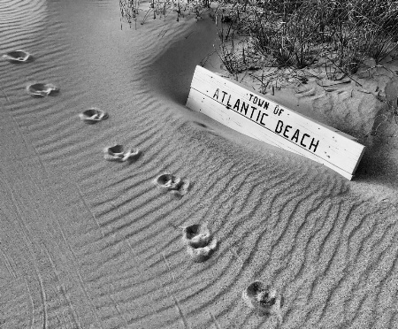 Dune Covered Beach Bench