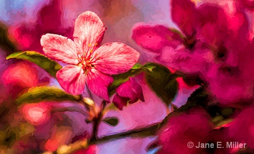 Spring Flower Painting