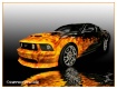 Mustang & Fla...