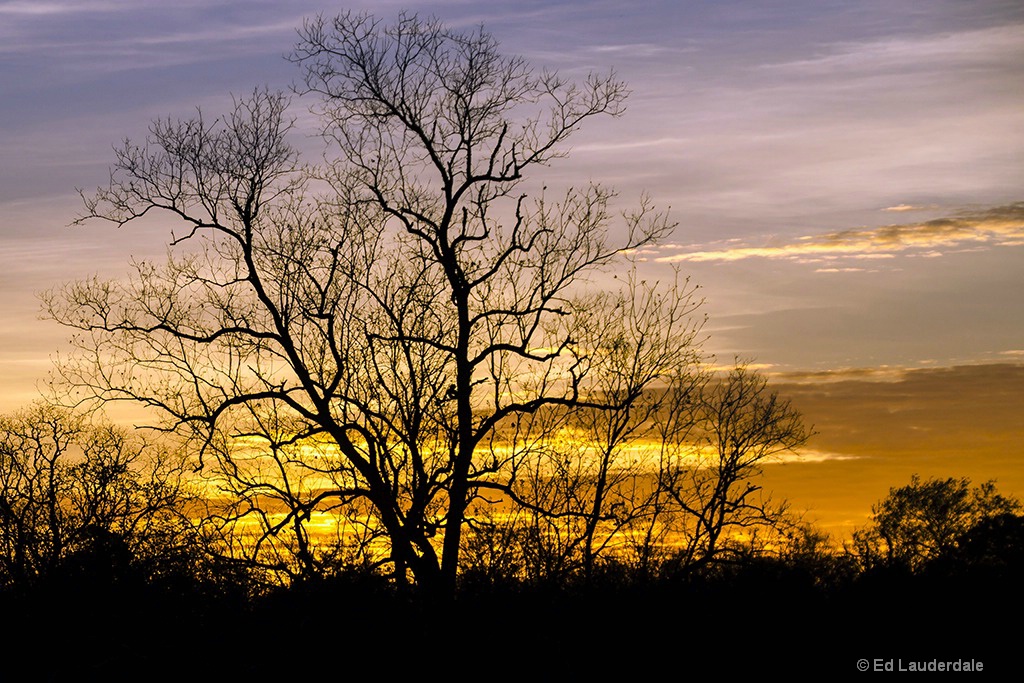 Shadows and Silhouettes