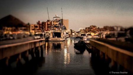 Cabo - Tourist Boats In for the Night