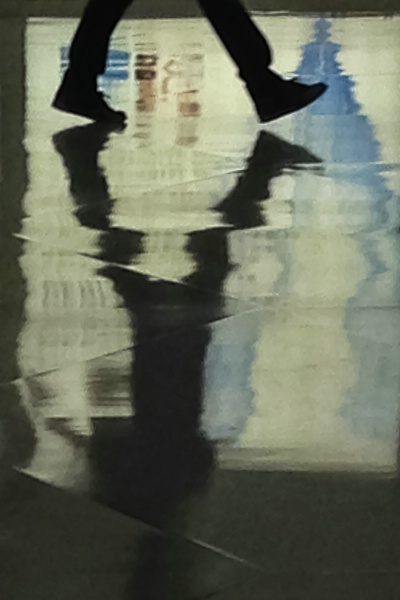Reflections of The Path - ID: 15355000 © Marilyn Cornwell