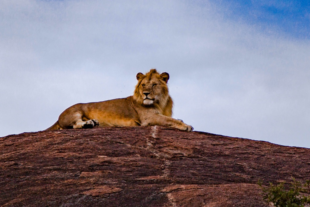 King of the hill, Tanzania