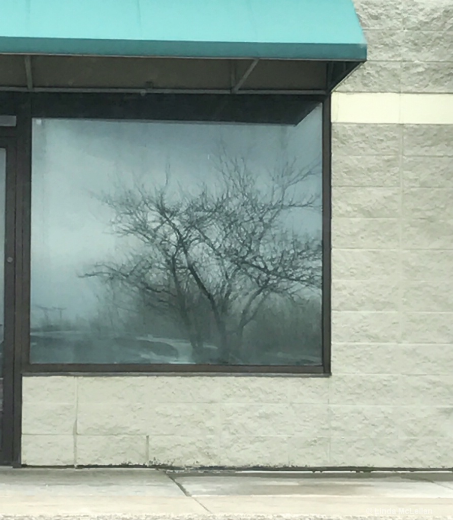 Empty Window Reflection 