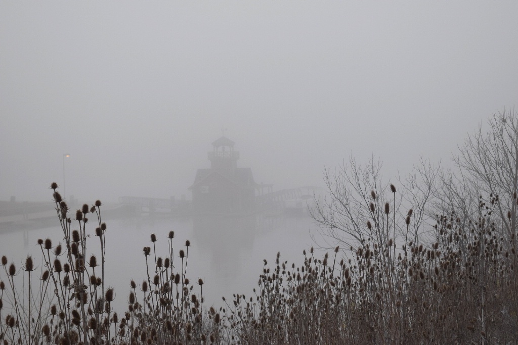 Boathouse Fog
