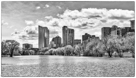 View from the Lagoon - Milwaukee