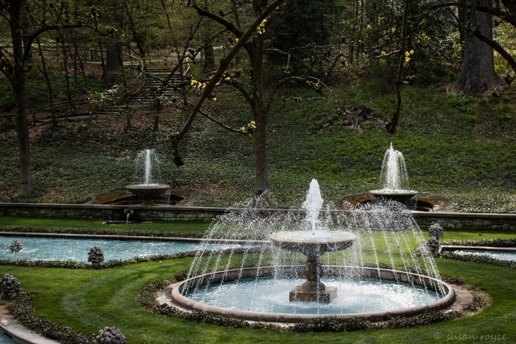 Woodland Fountain