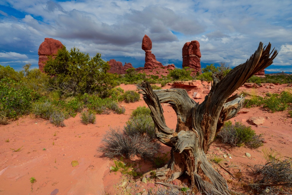 Arches N.P.