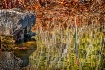 A Stake in a Lake