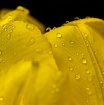Drop