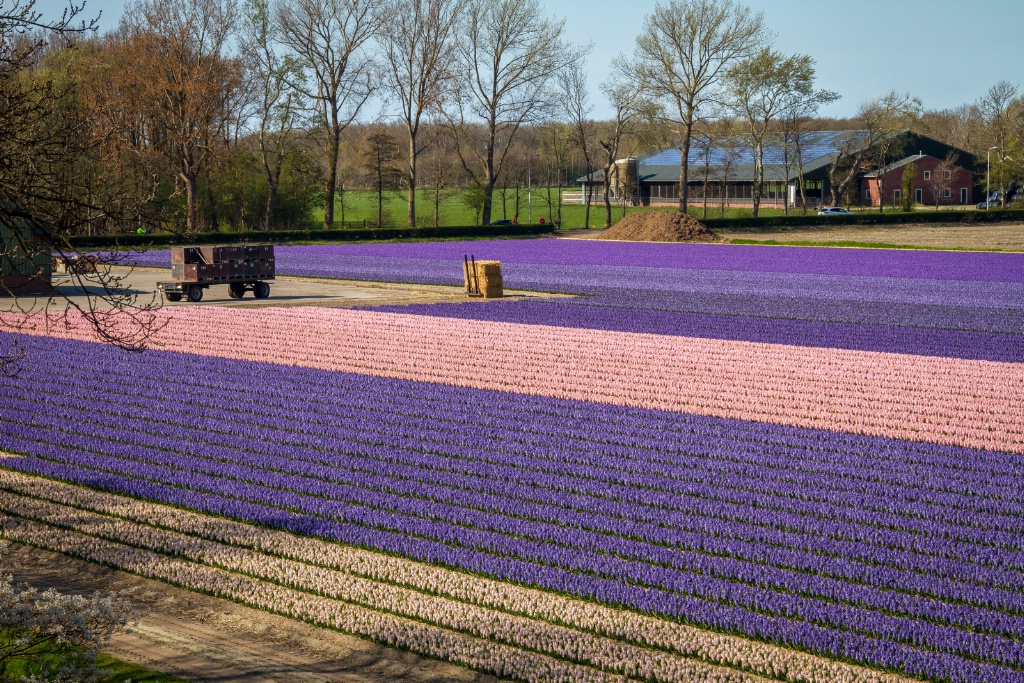 img2