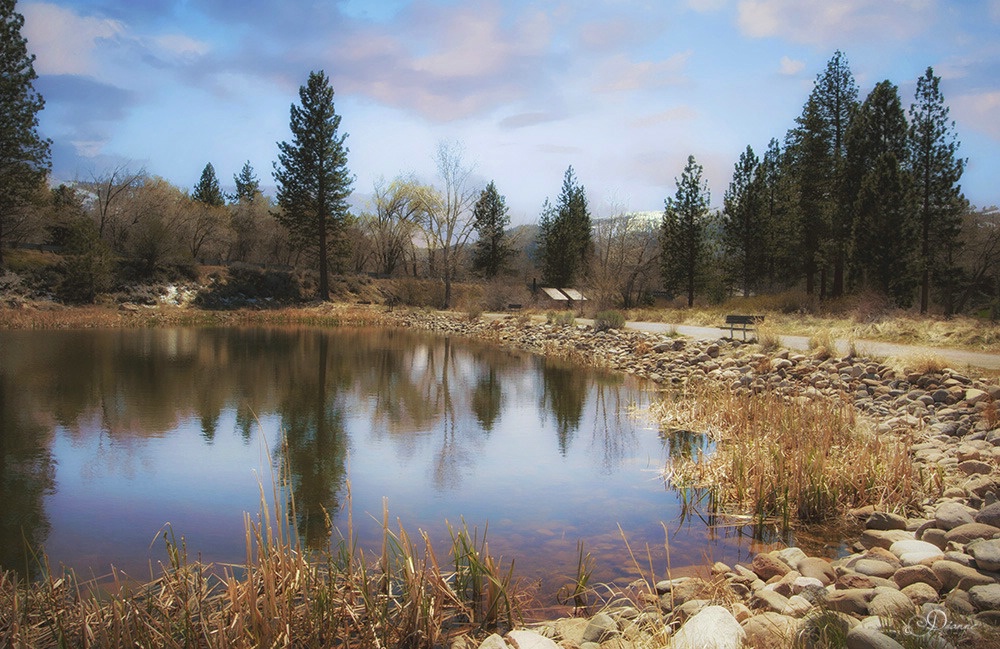 Verdi Pond