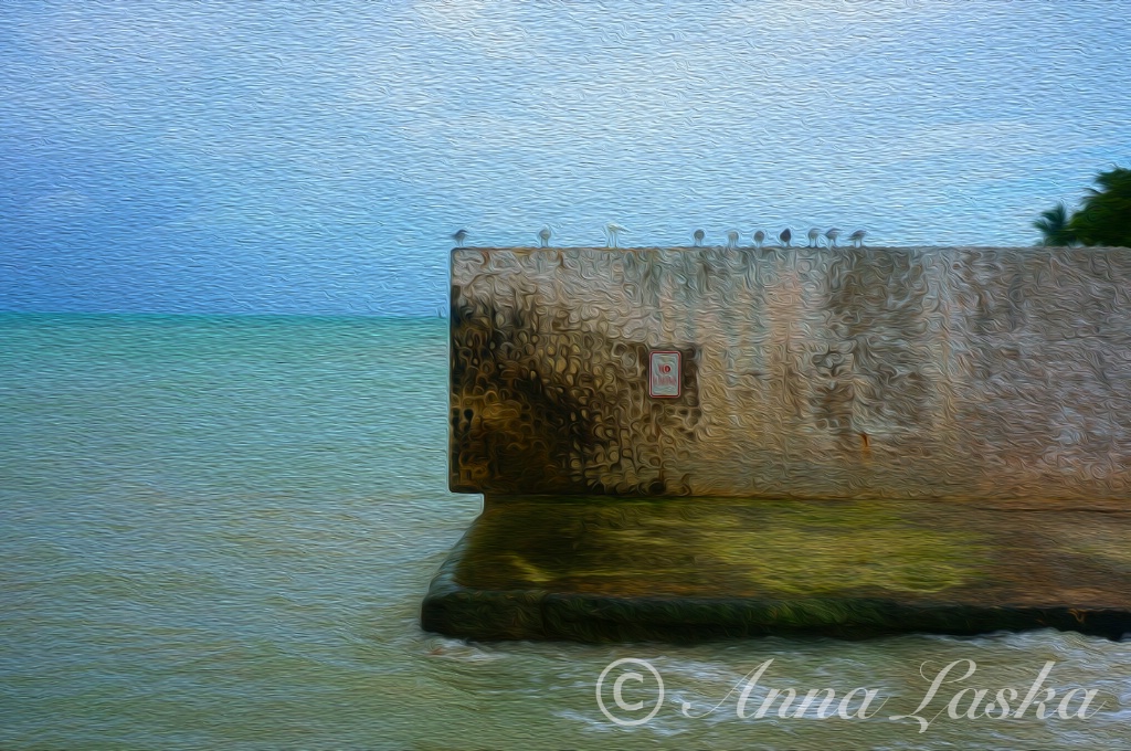 Seagulls on a wall - ID: 15356175 © Anna Laska