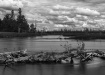 Kisaralik B&W