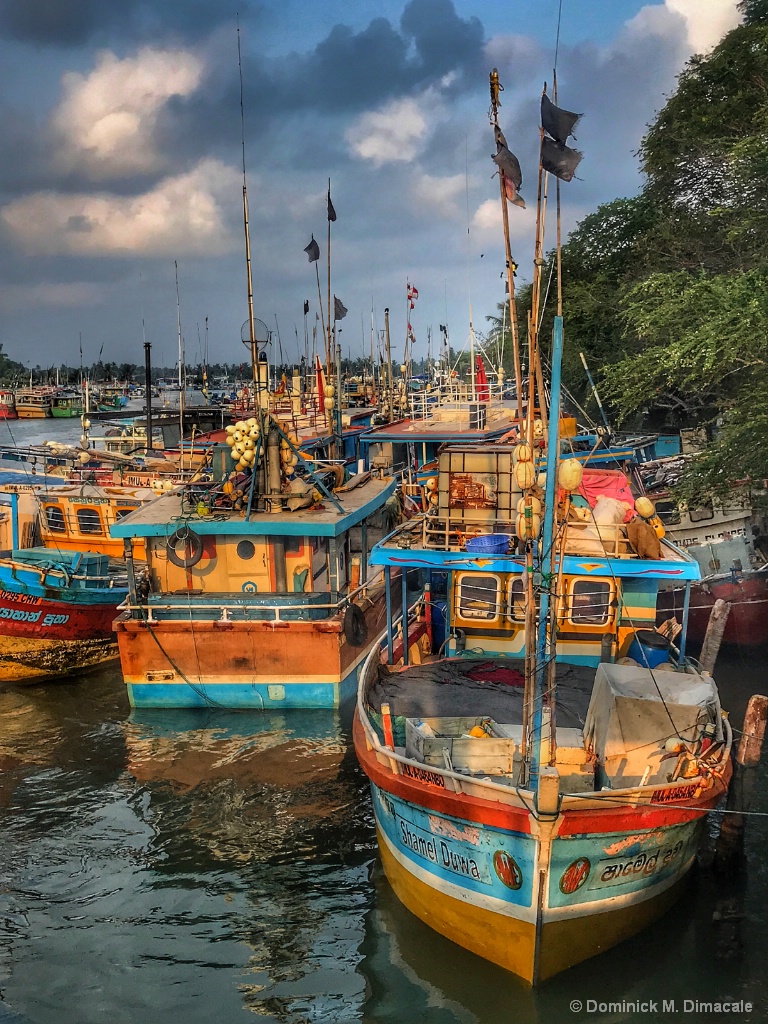 ~~ FISHING BOATS OF NEGOMBO ~ ~ 