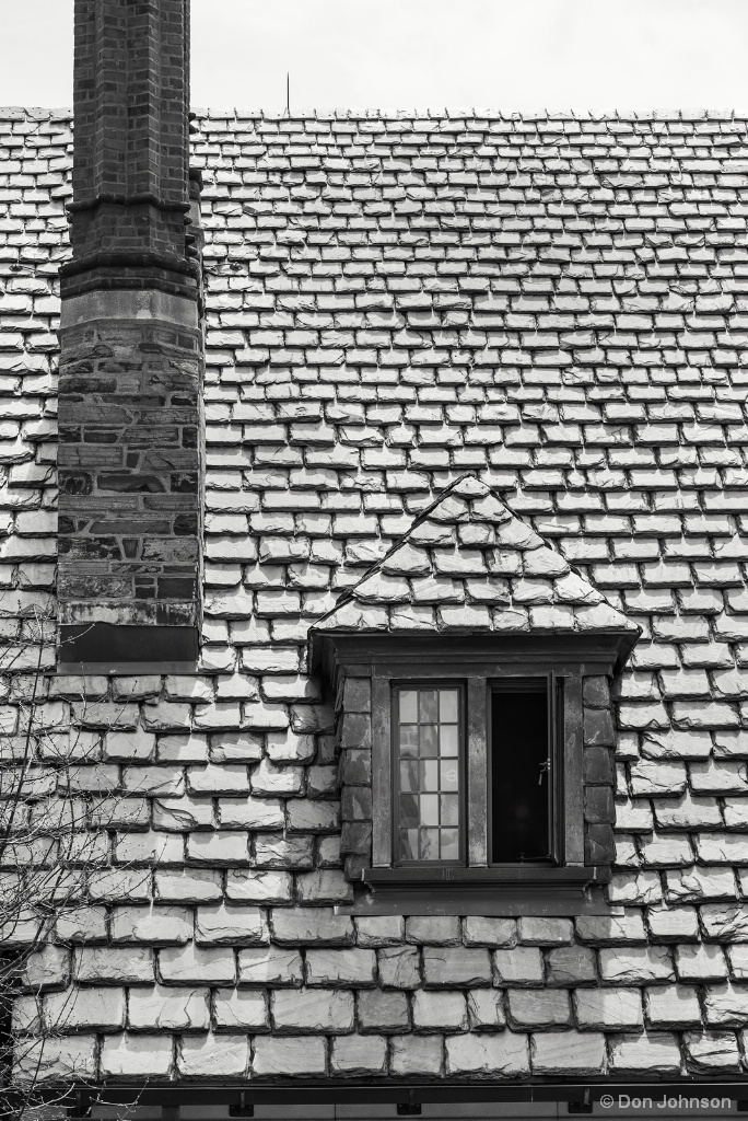 B&W Princeton Window 4-22-17 214