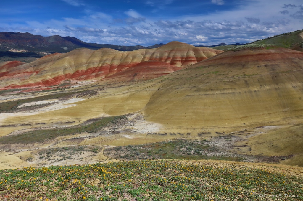 Flowers on the Painted Hills