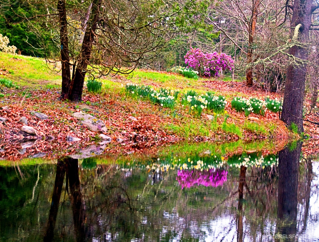 spring reflections