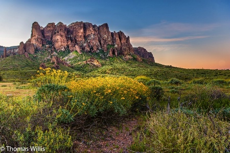 Superstition Mountains, Arizona, USA